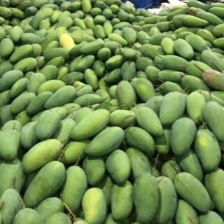 Mango