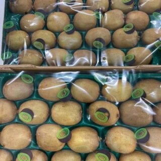 Kiwifruit