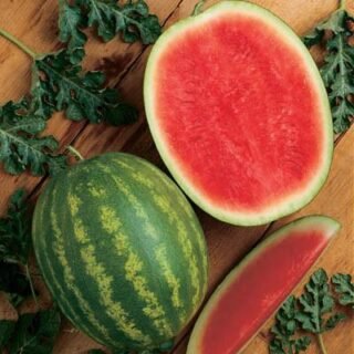 Watermelon