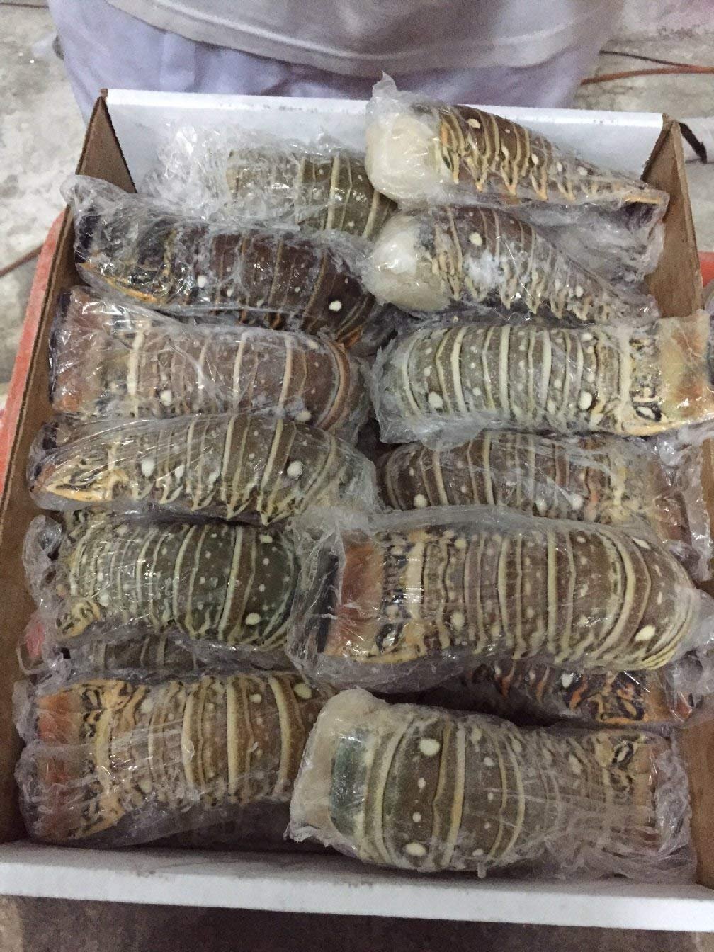 Frozen Lobster