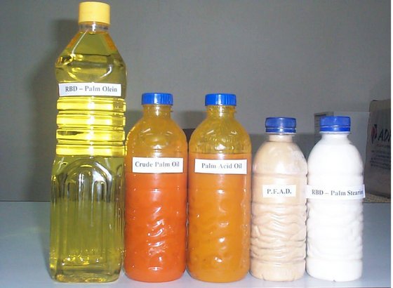 Palm Oil CP8 CP6 CP10