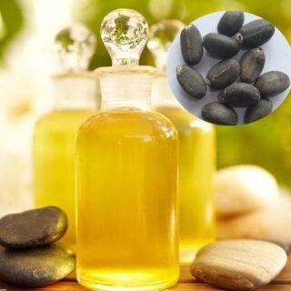 Jatropha Oil