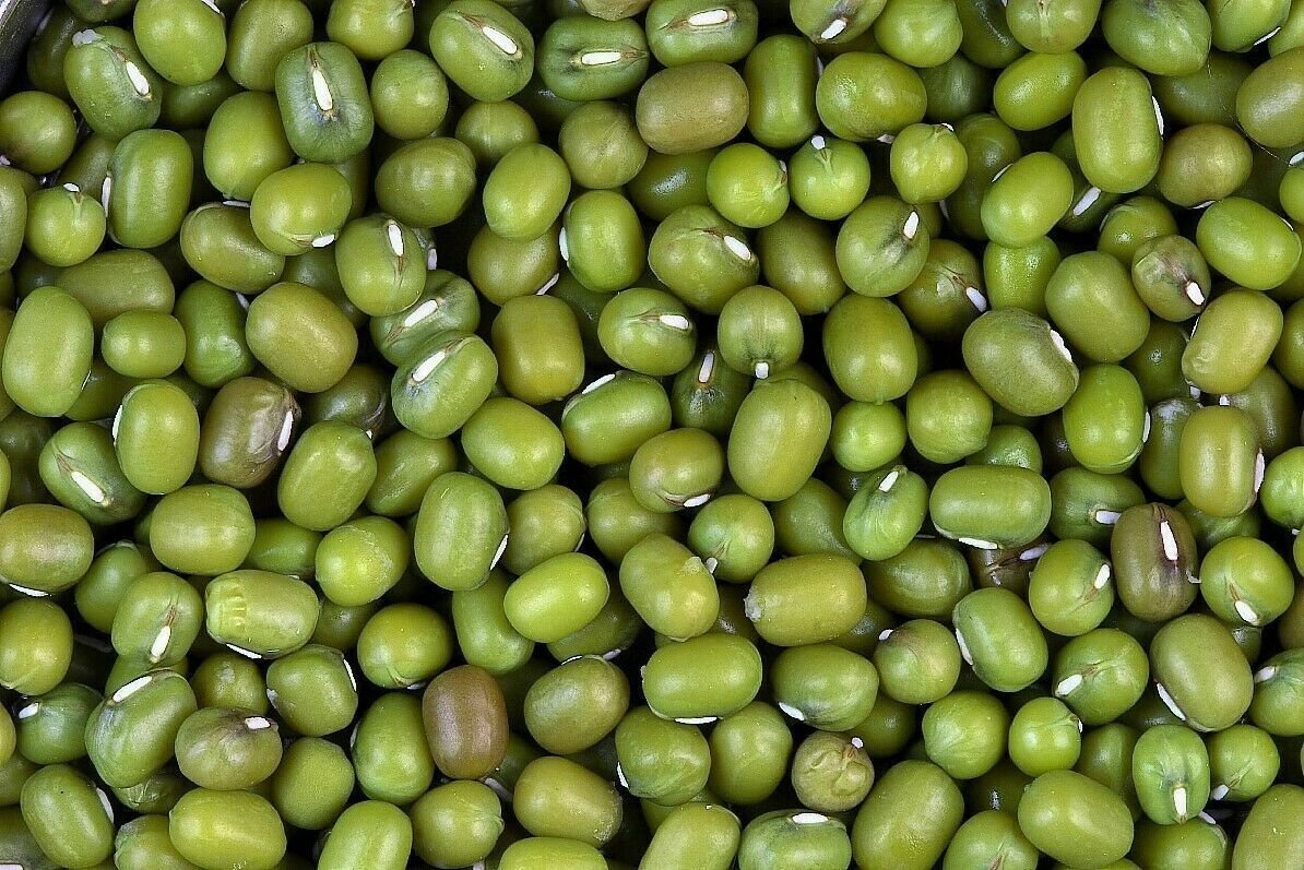 Green Mung Beans