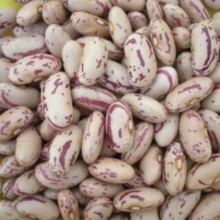 Pinto / Sugar Beans