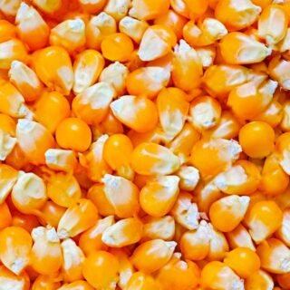 Yellow / White Maize