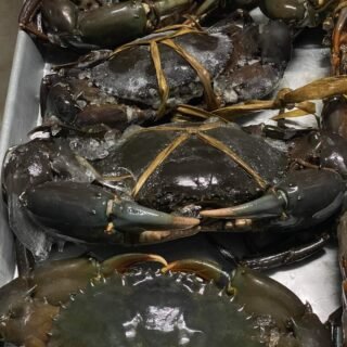 Live / Frozen Crab